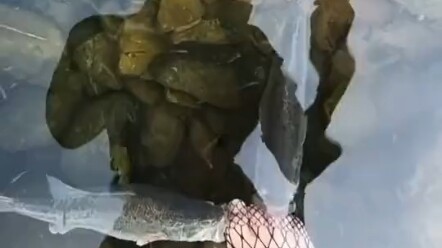 Câu cá thật là một việc đơn giản biết bao.