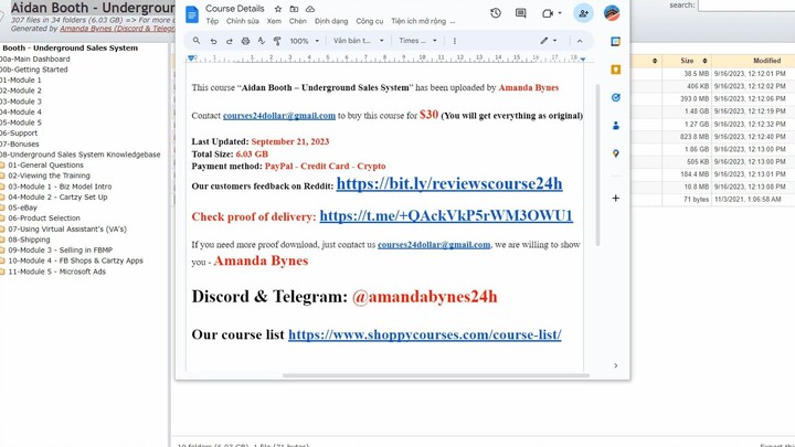 Aidan Booth – Underground Sales System