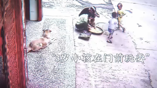 狗是人类最忠诚的朋友