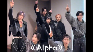 【BOYSTORY+BB大王】一起《Alpha》