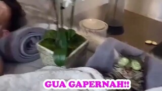 AYAM DAN ANJING YG SANGAT KOOPERATIF