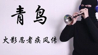 唢 呐 送 终 鸟