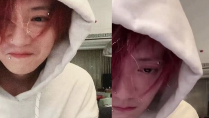 Saat baru mulai live, si kucing kecil masih berada di bawah sinar matahari yang cerah