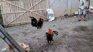 open ear both