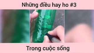 Những điều hay ho trong cuộc sống