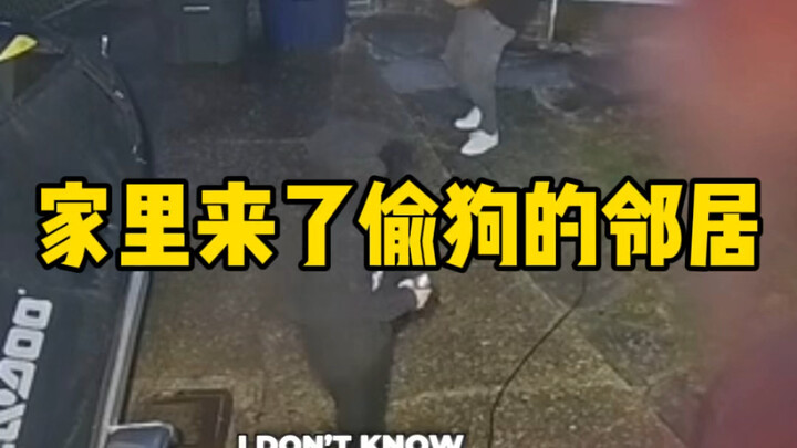 家里来了偷狗的邻居