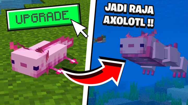 Aku Upgrade AXOLOTL Biasa Menjadi MONSTER AXOLOTL Di MINECRAFT!! 😱😱