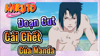 [Naruto] Đoạn Cut | Cái Chết Của Manda