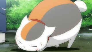 [Natsume Yuujinchou Roku] Lagu goyang meong, tidak ada BGM yang tidak bisa dikendalikan oleh guru kucing, gemetar