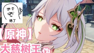 大慈树王：旅行者，你怎么不抽我？