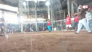 1st win puti mukha tagalog