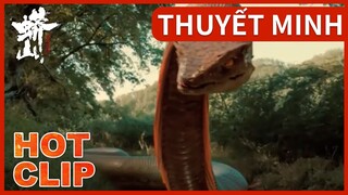 HOT CLIP | Mãng Sơn | Phóng viên rủ nhau làm mồi nhử rắn, bị rắn lớn nuốt chửng một phát