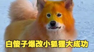 Persistence is victory in this world! The same goes for dyeing dogs with vegetables!