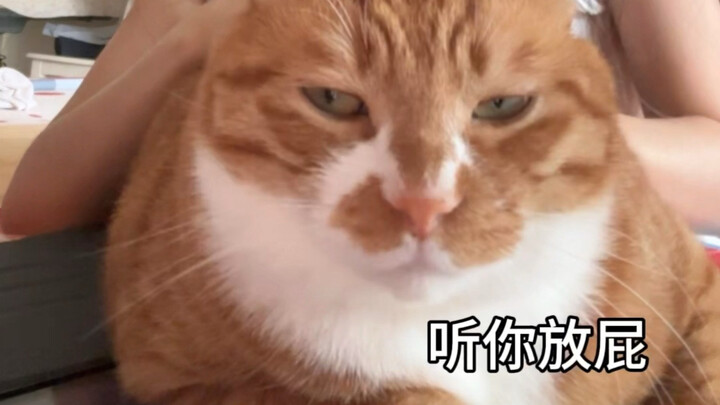 Let’s not slap each other in the face on our first meeting, okay?