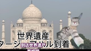 【熟肉】修学旅行去印度的小故事 | 猫meme