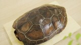 [Food]Making tortoise jelly from an actual tortoise