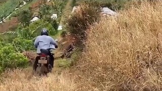 video lucu apes