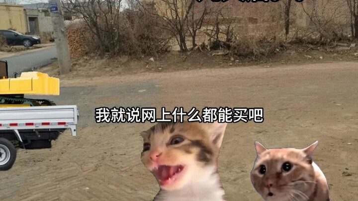 当我爷爷学会了网购。