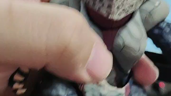 shf哥尔赞与胜利飞燕分享