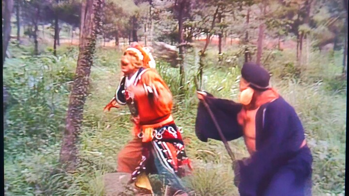 30-Second Quick Guide to Tiger Vanguard—No need to thank me!