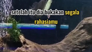 semoga kita bukan diantaranya Aamiin 🤲