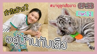 อยู่บ้านกับมายูลูกเสือขาว จะน่ารักหรือน่านัก? EP.33