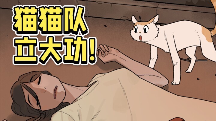 流浪猫：猫猫我呀，捡到人了捏~