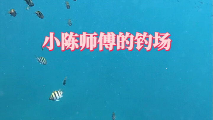 Cho vài lời khuyên đi, giọng gốc thực sự được không? Sao tôi vẫn thấy Ngộ Không hay hơn nhỉ?