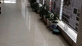 Tại sao lại có người đồng tính ở các triển lãm thiết kế? (khó chịu)