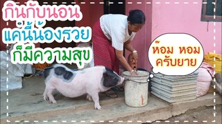 🐖ความสุขของน้องรวยคือการได้กินอิ่ม😋🤣😂