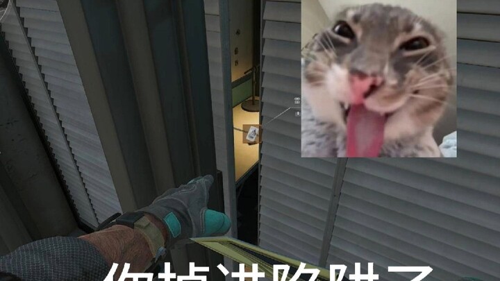 Lúc nào cũng cười người khác, hôm nay đến lượt mình rồi