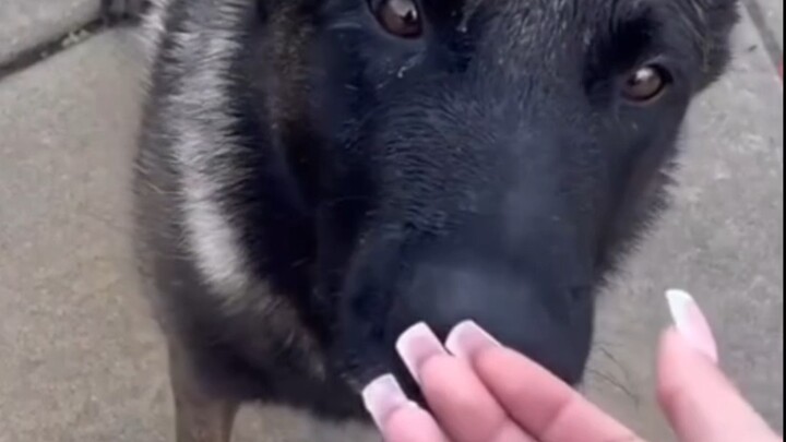 ชุนปี่ทีวี พาร์ต 3