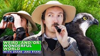 Shane & Ryan Go Birdwatching • Weird Wonderful World