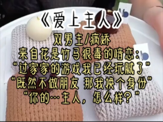 “过家家的游戏我已经玩腻了，既然做朋友…那我换个身份——你的…主人，怎么样？”