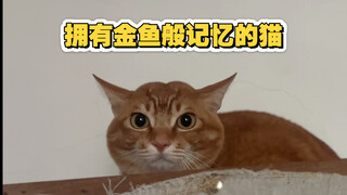 สวัสดี……มันจำฉันไม่ได้อีกแล้ว มันชื่อว่าก้อนน้ำแข็งหลัว!!!