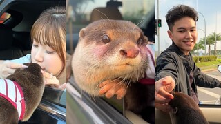 How can you not smile in front of such a cute little animal?