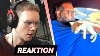 TRY NOT TO LAUGH 71.0 😱 | Reaktion