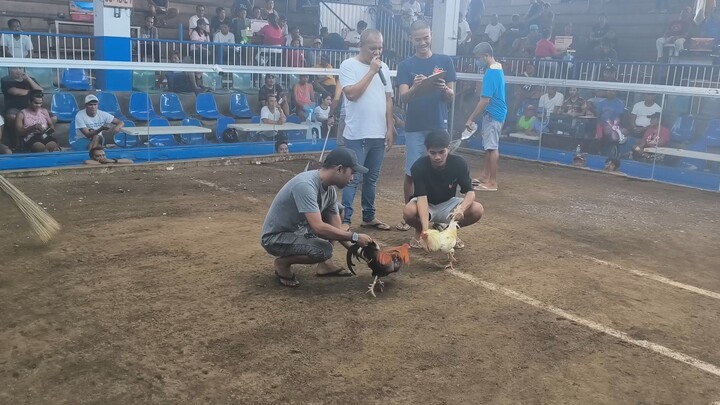 taal coliseum 2hits champion!!! bangis mo bebe BUDIAM 1959 🏆🏆