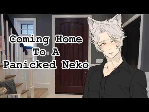 Coming Home To A Panicked Neko | ASMR Roleplay [M4A]