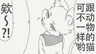 我们猫人跟动物的猫可不一样哟…