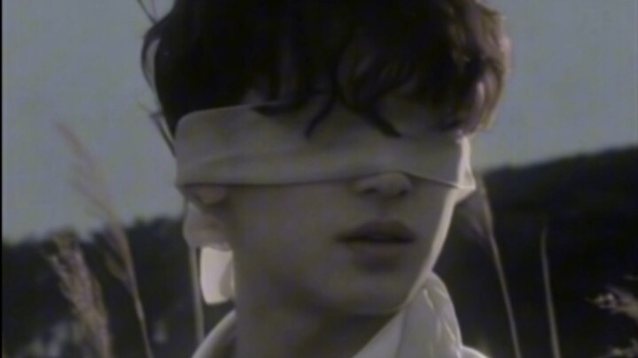 The Novel’s Immersive Atmosphere