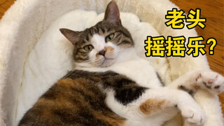 I bought a cute crib for my cat~ But the style of the picture doesn’t seem right...