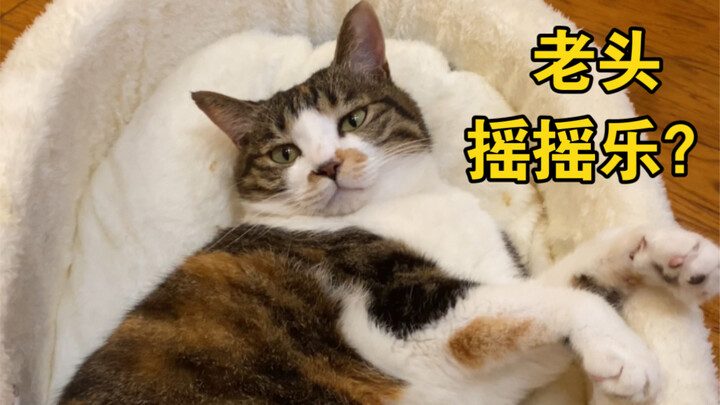 给猫买了个可爱婴儿床～但这个画风好像不太对劲…