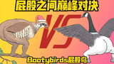 【bootybirds】全球知名“艺人”屁股鸟vs 新晋“顶流”圣诞鸟，用屁股一决胜负！？