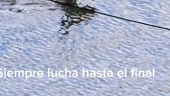 Vivir un poco mas