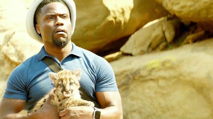 Both are actors I like; they talk a lot and have very relatable personalities.