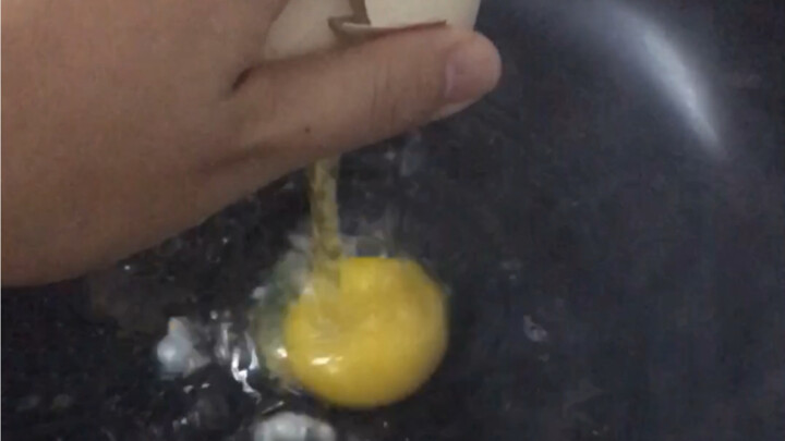 If you’re a terrible cook, just get a Labrador—this pup will never judge you!