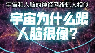 Is it possible that the universe is a conscious brain?