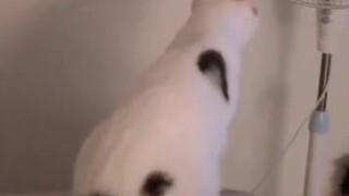  ต้องดูถึงตอนจบ5555