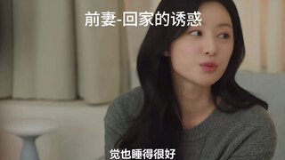 回家的诱惑-前妻归来